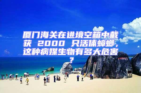 廈門海關在進境空箱中截獲 2000 只活體蟑螂，這種病媒生物有多大危害？