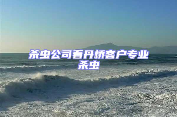殺蟲公司看丹橋客戶專業殺蟲