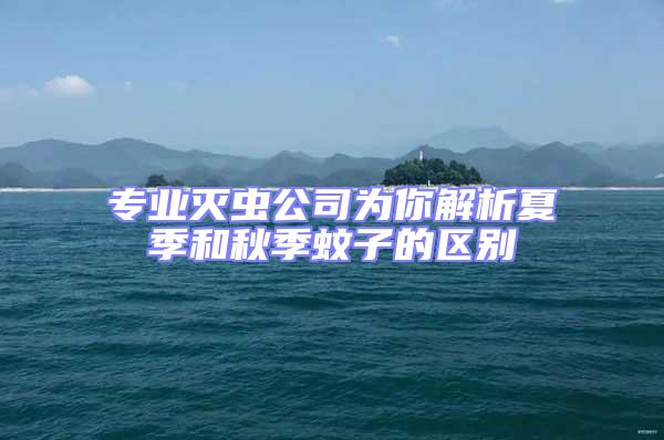 專業滅蟲公司為你解析夏季和秋季蚊子的區別