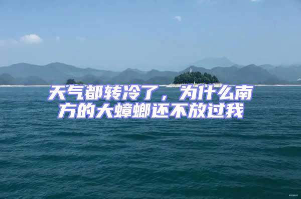 天氣都轉冷了，為什么南方的大蟑螂還不放過我