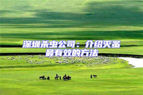深圳殺蟲公司：介紹滅蚤最有效的方法