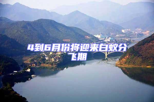 4到6月份將迎來(lái)白蟻分飛期