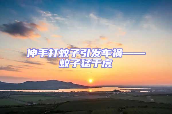 伸手打蚊子引發(fā)車禍——蚊子猛于虎