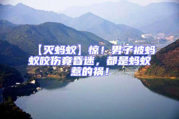 【滅螞蟻】驚！男子被螞蟻咬傷竟昏迷，都是螞蟻惹的禍！