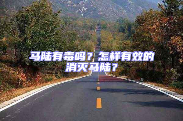 馬陸有毒嗎？怎樣有效的消滅馬陸？