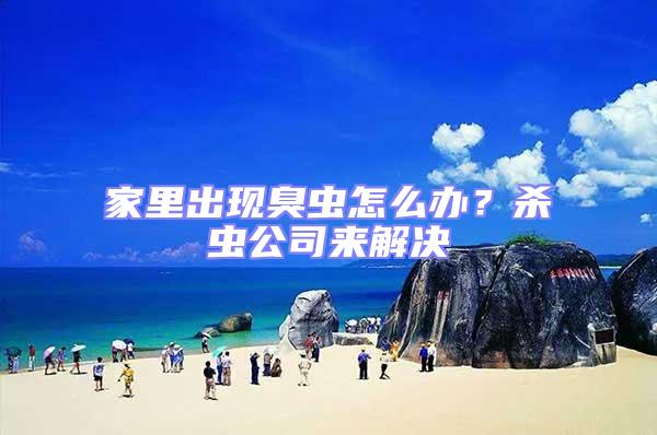 家里出現臭蟲怎么辦？殺蟲公司來解決