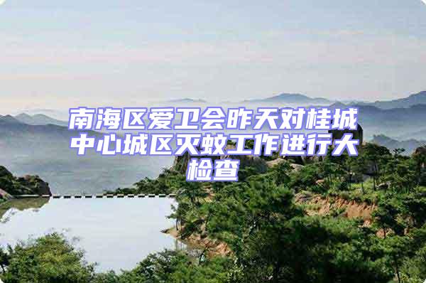 南海區愛衛會昨天對桂城中心城區滅蚊工作進行大檢查