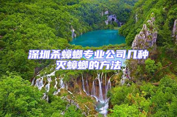 深圳殺蟑螂專業公司幾種滅蟑螂的方法