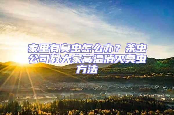 家里有臭蟲怎么辦？殺蟲公司教大家高溫消滅臭蟲方法
