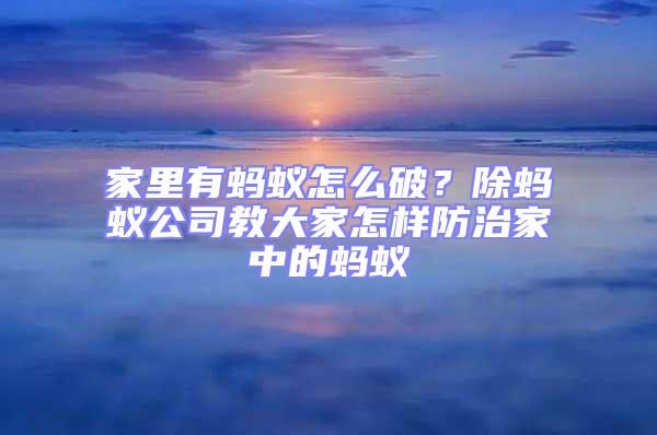 家里有螞蟻怎么破？除螞蟻公司教大家怎樣防治家中的螞蟻
