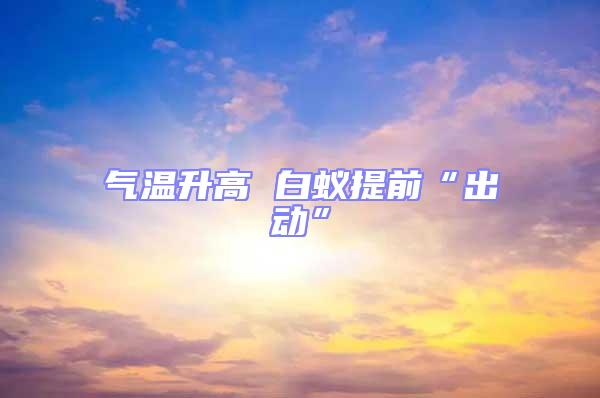 氣溫升高 白蟻提前“出動”