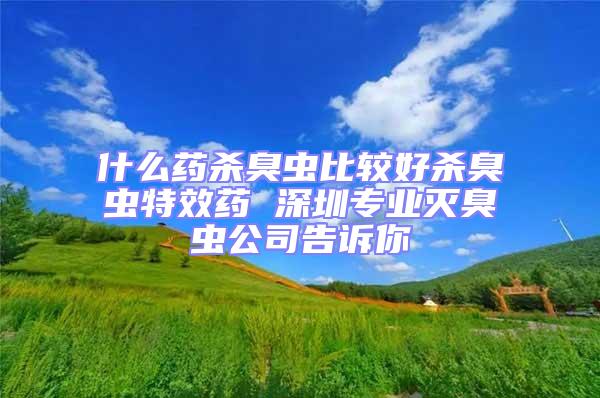 什么藥殺臭蟲比較好殺臭蟲特效藥 深圳專業滅臭蟲公司告訴你