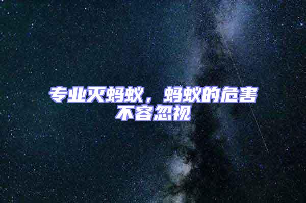 專業滅螞蟻，螞蟻的危害不容忽視