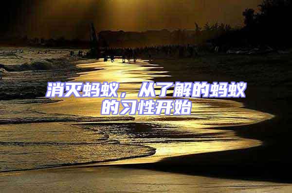 消滅螞蟻，從了解的螞蟻的習性開始