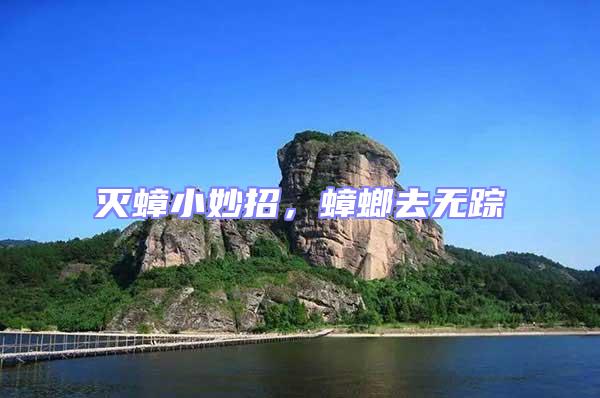 滅蟑小妙招，蟑螂去無(wú)蹤
