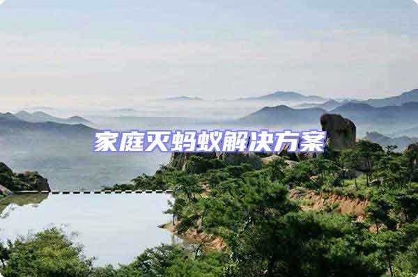 家庭滅螞蟻解決方案