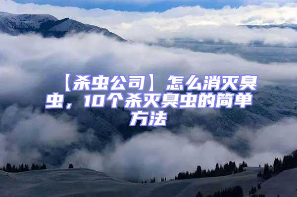 【殺蟲公司】怎么消滅臭蟲，10個殺滅臭蟲的簡單方法