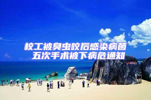 校工被臭蟲咬后感染病菌 五次手術被下病危通知