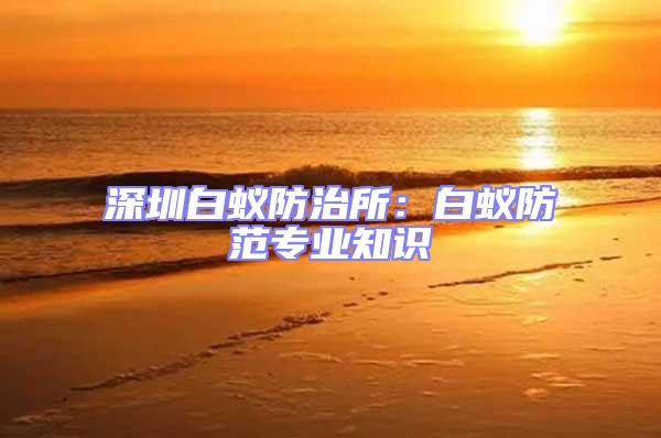 深圳白蟻防治所：白蟻防范專業知識