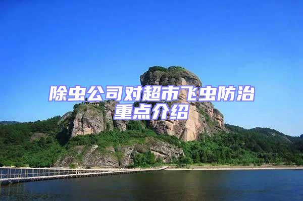 除蟲公司對超市飛蟲防治重點介紹