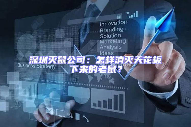 深圳滅鼠公司：怎樣消滅天花板下來的老鼠？