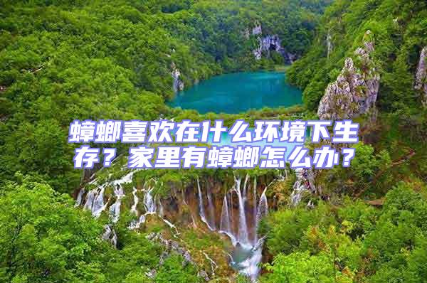 蟑螂喜歡在什么環境下生存？家里有蟑螂怎么辦？