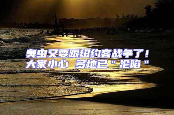 臭蟲又要跟紐約客戰爭了！大家小心 多地已＂淪陷＂