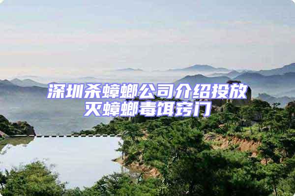 深圳殺蟑螂公司介紹投放滅蟑螂毒餌竅門