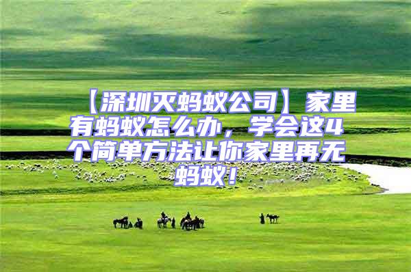 【深圳滅螞蟻公司】家里有螞蟻怎么辦，學會這4個簡單方法讓你家里再無螞蟻！
