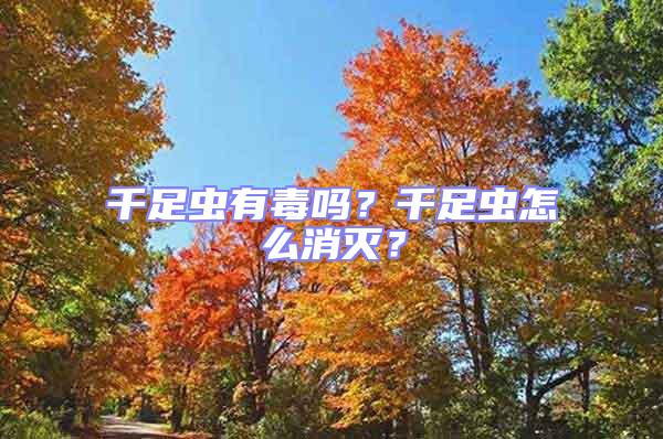 千足蟲有毒嗎？千足蟲怎么消滅？