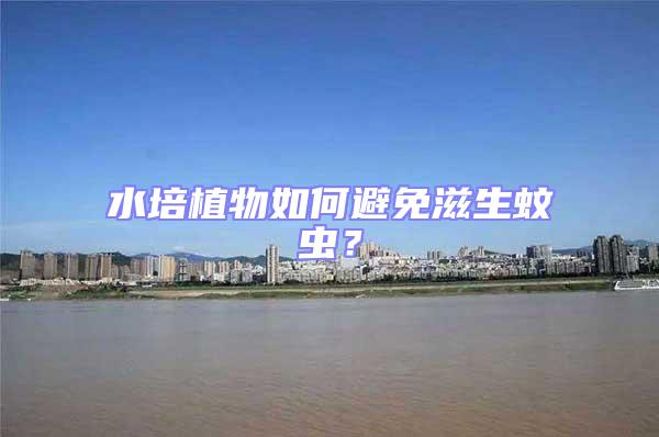 水培植物如何避免滋生蚊蟲？