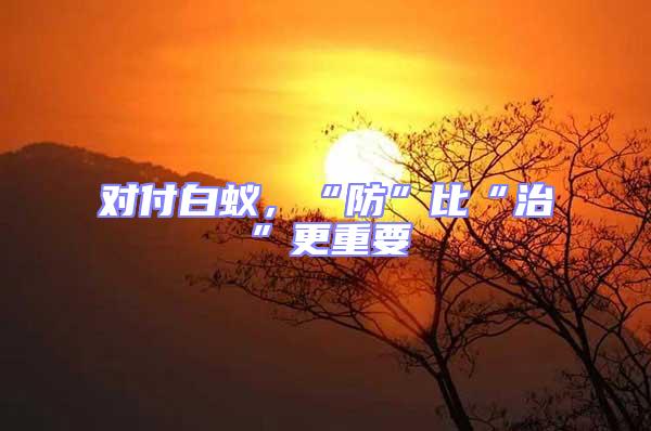 對付白蟻，“防”比“治”更重要