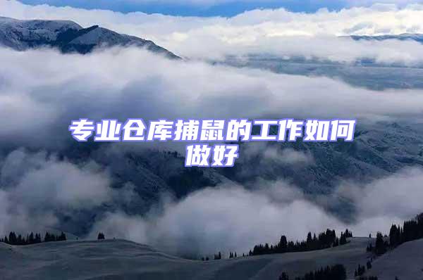 專業倉庫捕鼠的工作如何做好