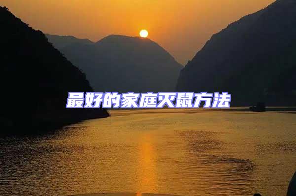 最好的家庭滅鼠方法