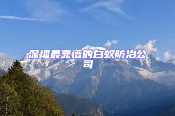 深圳最靠譜的白蟻防治公司