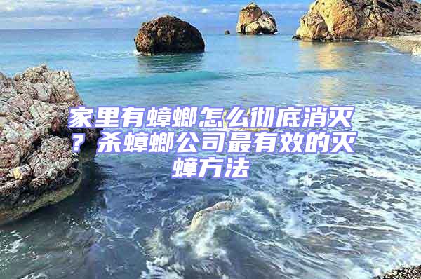 家里有蟑螂怎么徹底消滅？殺蟑螂公司最有效的滅蟑方法