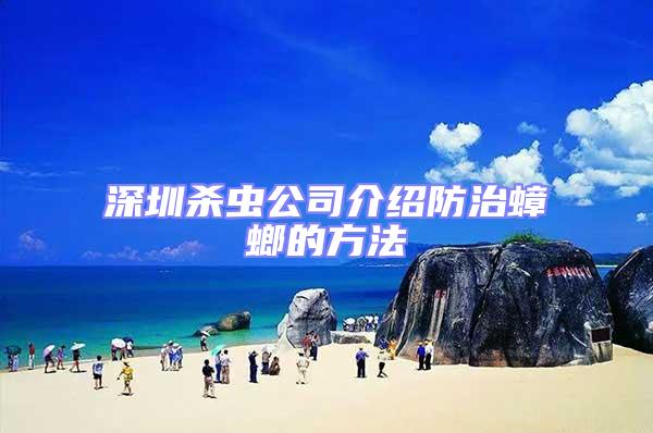 深圳殺蟲公司介紹防治蟑螂的方法