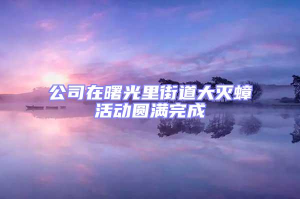 公司在曙光里街道大滅蟑活動圓滿完成