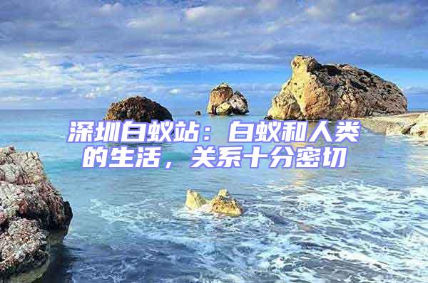 深圳白蟻站：白蟻和人類的生活，關(guān)系十分密切