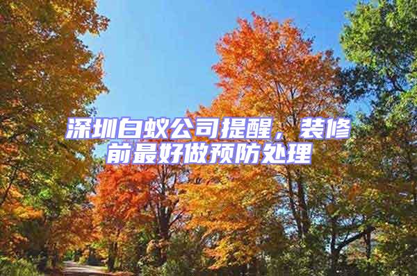 深圳白蟻公司提醒，裝修前最好做預防處理