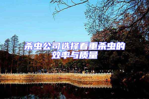 殺蟲公司選擇看重殺蟲的效率與質量