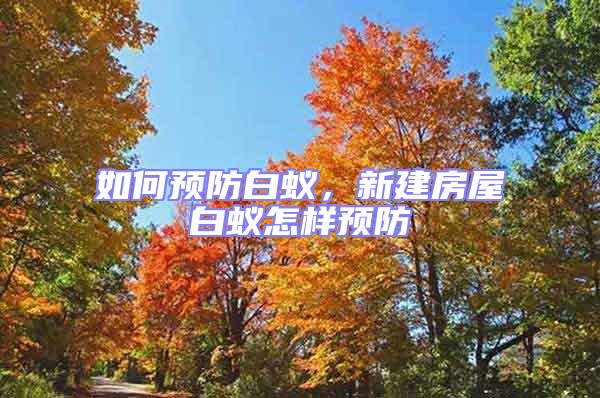 如何預防白蟻，新建房屋白蟻怎樣預防