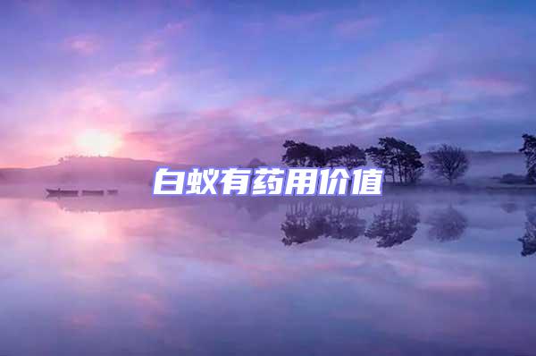 白蟻有藥用價值