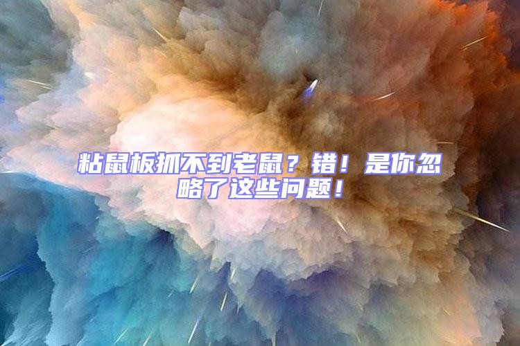 粘鼠板抓不到老鼠？錯！是你忽略了這些問題！