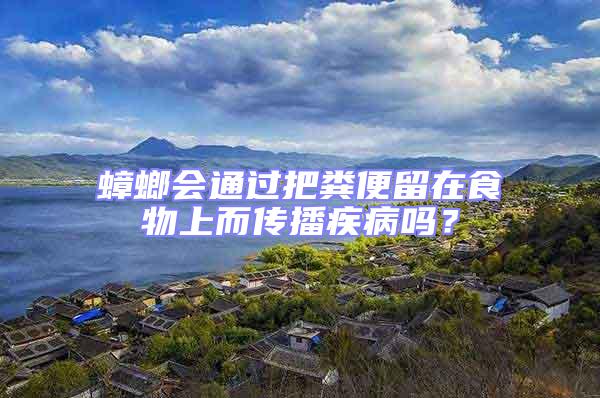 蟑螂會(huì)通過把糞便留在食物上而傳播疾病嗎？