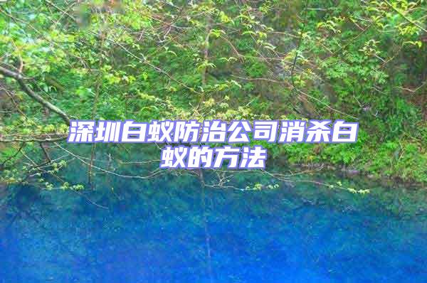 深圳白蟻防治公司消殺白蟻的方法