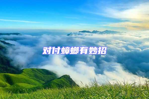 對(duì)付蟑螂有妙招