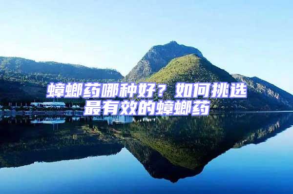 蟑螂藥哪種好？如何挑選最有效的蟑螂藥