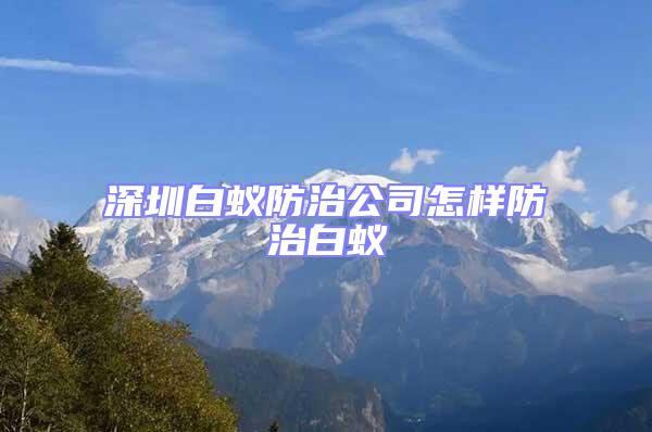 深圳白蟻防治公司怎樣防治白蟻
