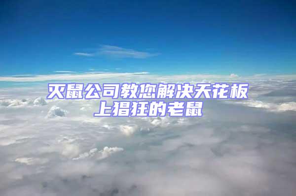 滅鼠公司教您解決天花板上猖狂的老鼠
